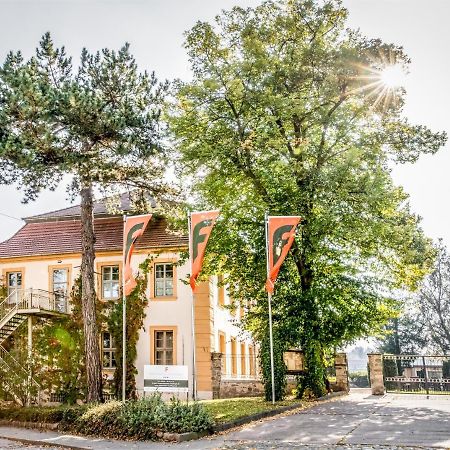 Stadtschloss Hecklingen*** Hecklingen (Salzlandkreis) Exterior foto